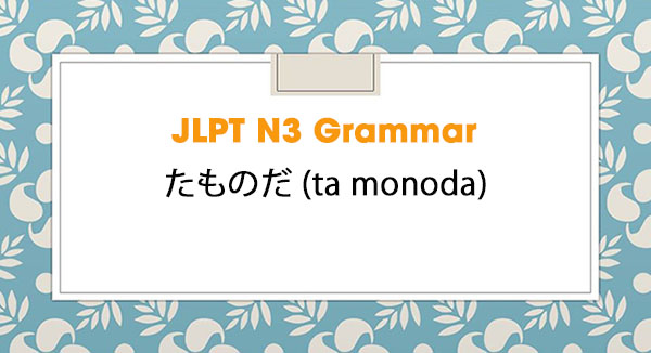 JLPT N3 Grammar: たものだ (ta monoda)